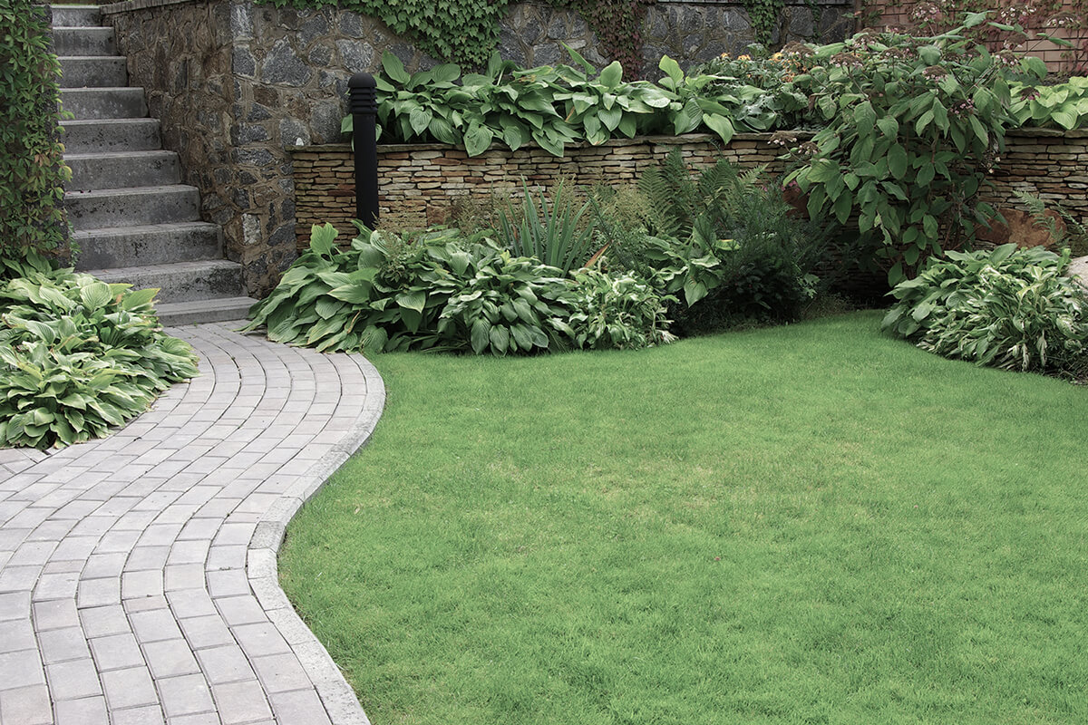 Welcome to Total Landscapes & General Builders